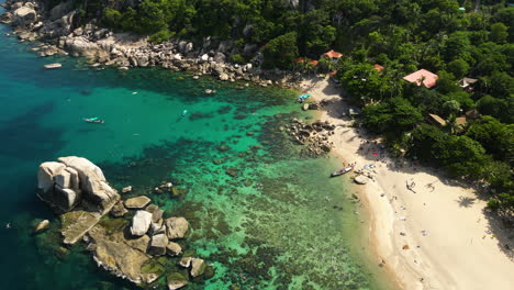 drone birds eye flight over tropical beach with crystal clear water with coral reef in jungle on koh tao island