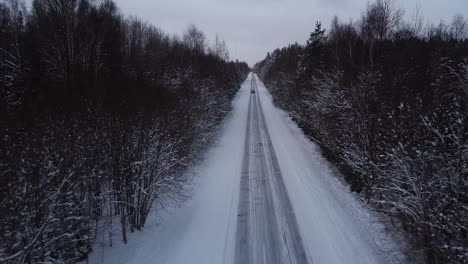 aerial revealing view of winter road alley surrounded by snow covered trees in overcast winter day, small snowflakes falling, car driving trough, wide angle ascending drone shot moving backwards