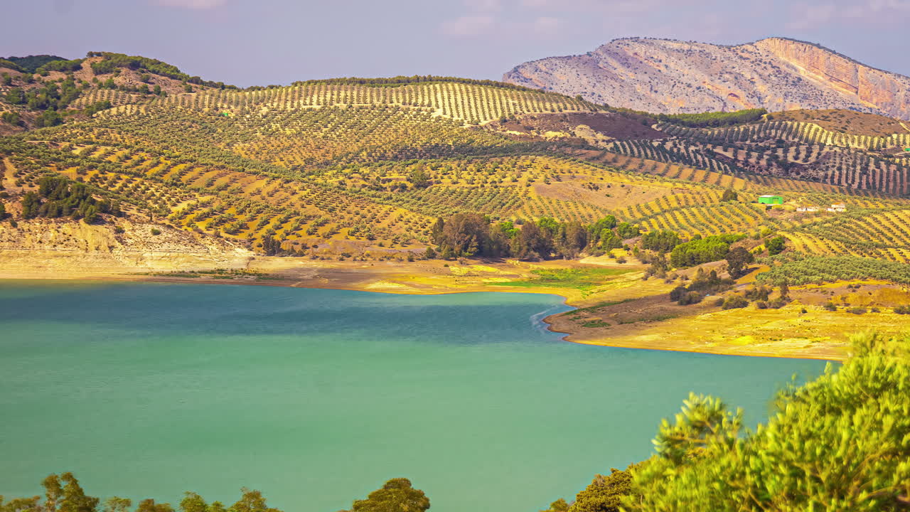Timelapse di uliveti, paesaggio agricolo vicino a Malaga, natura eccezionale della Spagna.
