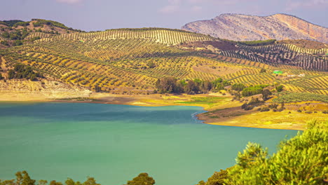 Timelapse-De-Campos-De-Olivos,-Paisaje-Agrícola-Cerca-De-Málaga,-Naturaleza-Excepcional-De-España