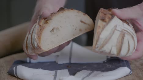 Close-up-of-breaking-bread-with-a-fresh-baked,-round-artisan-loaf