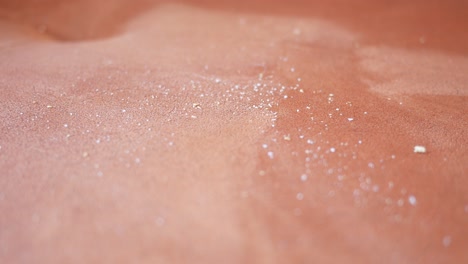 close-up of a reddish-brown surface with small white particles