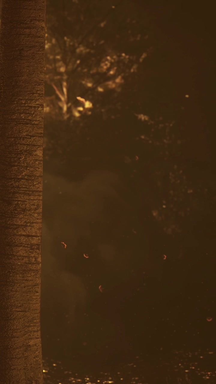A tall tree stands in a dim forest at twilight