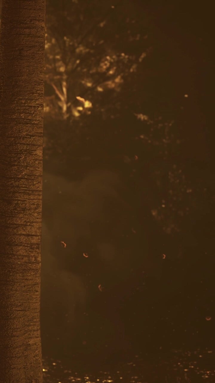 A tall tree stands in a dim forest at twilight
