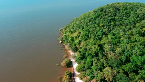drone shot of a green forest next to a white sandy beach in the brazilian amazon.