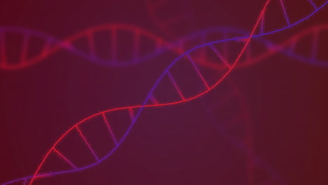 animación de cadenas de adn moviéndose en fondo rojo