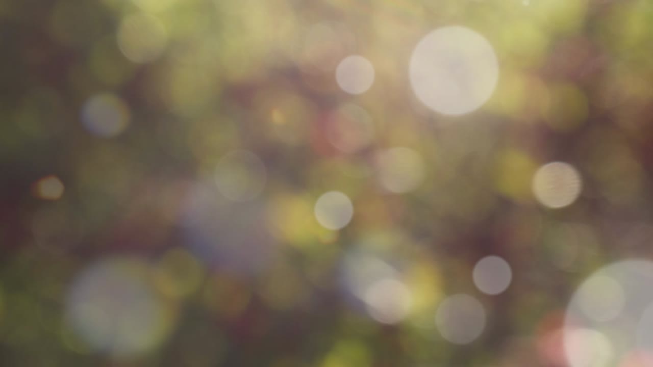 fondo de resorte abstracto con bokeh