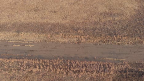 aerial shot showing the road surface of an old abandoned race track