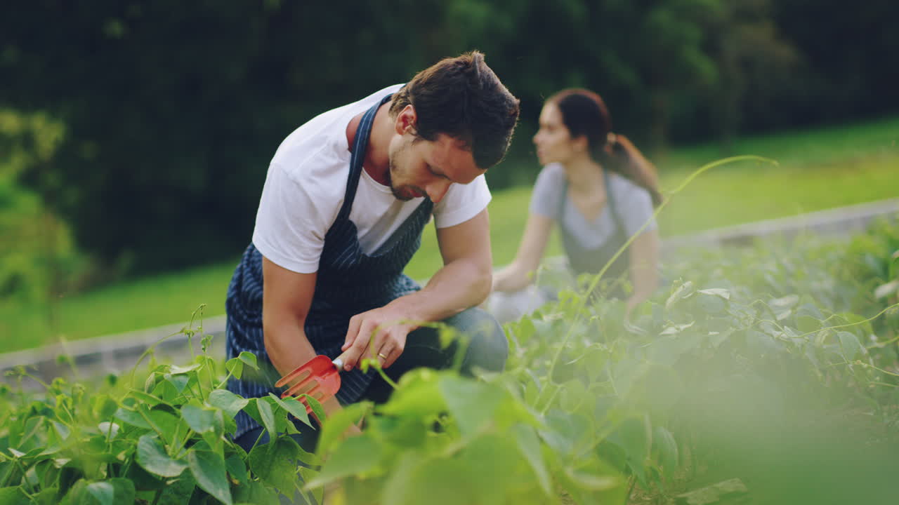 당신은 당신이 심은 것을 수확합니다.