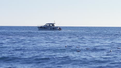 motorboat passing by on the mediterranean sea