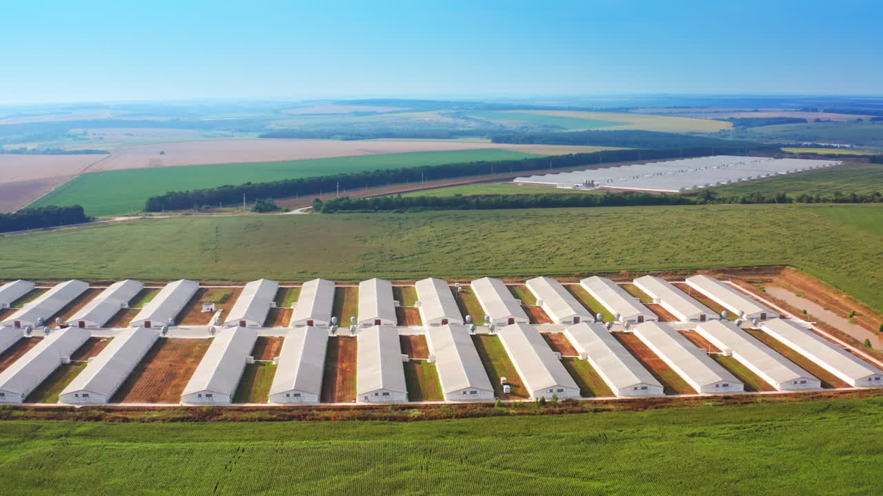 Long warehouses at the farm complex location. Farmhouses in the vast plantations. Another farm territory at the backdrop.