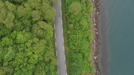 above view asphalt road through lush nature by the river. aerial topdown shot