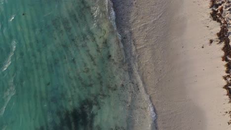vista desde el centro: playa prístina y aguas azules cristalinas, una escena costera serena