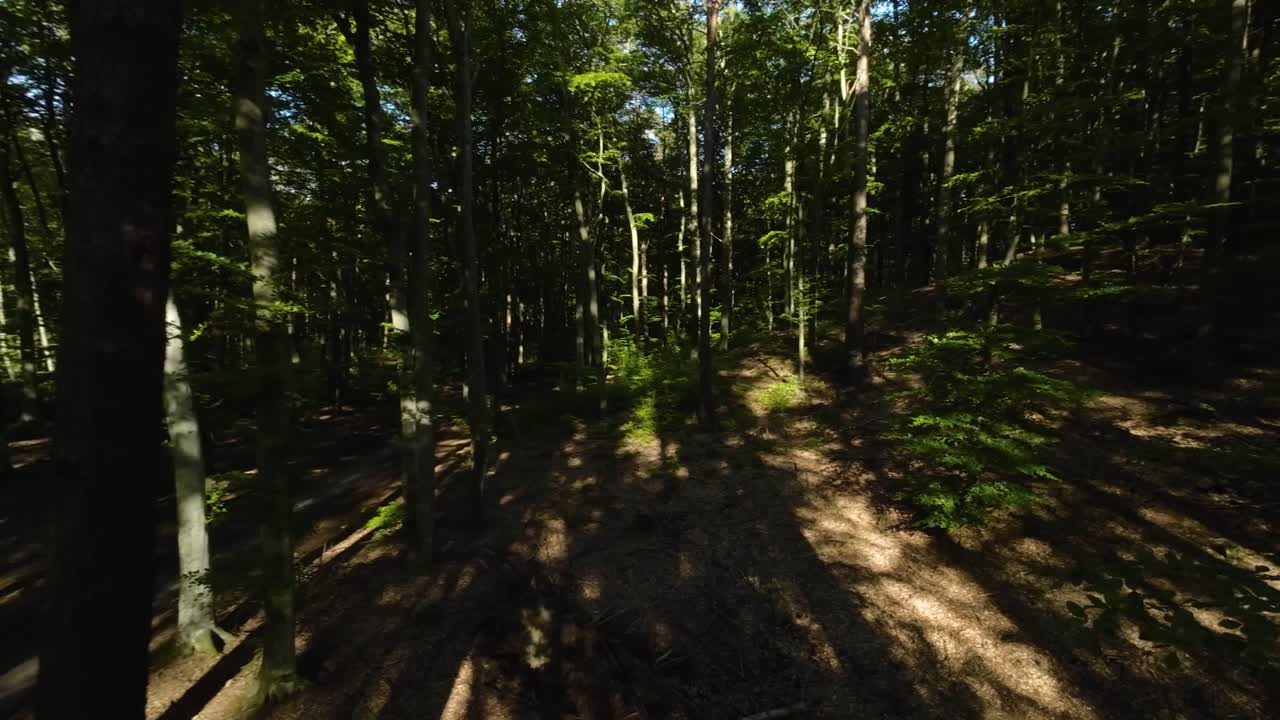 Aerial Pan Right View Across Calm Serene Forest Trees