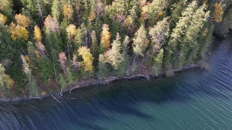 Colores-De-Otoño-En-El-Lago-Dunn:-Una-Sinfonía-De-Tonos-En-El-Lienzo-De-La-Naturaleza