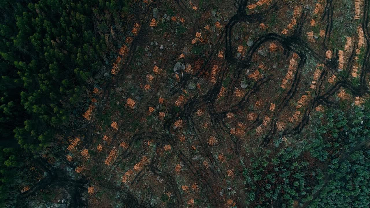 Deforestation. Aerial drone view of forest destroyed. Deforestation on Mountain Slope