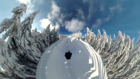 man walking through beautiful winter forest, vr360, 360vr, 360 video, 360 degree, vr, little planet effect