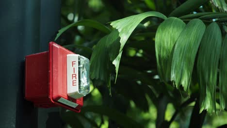 red fire alarm device on a pole
