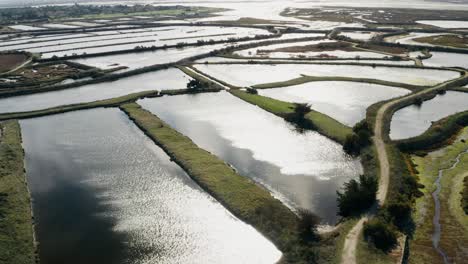 Luftaufnahme-Des-Naturschutzgebiets,-Flug-über-Teiche,-Die-Teil-Der-Ile-de-Ré-Sind,-Frankreich