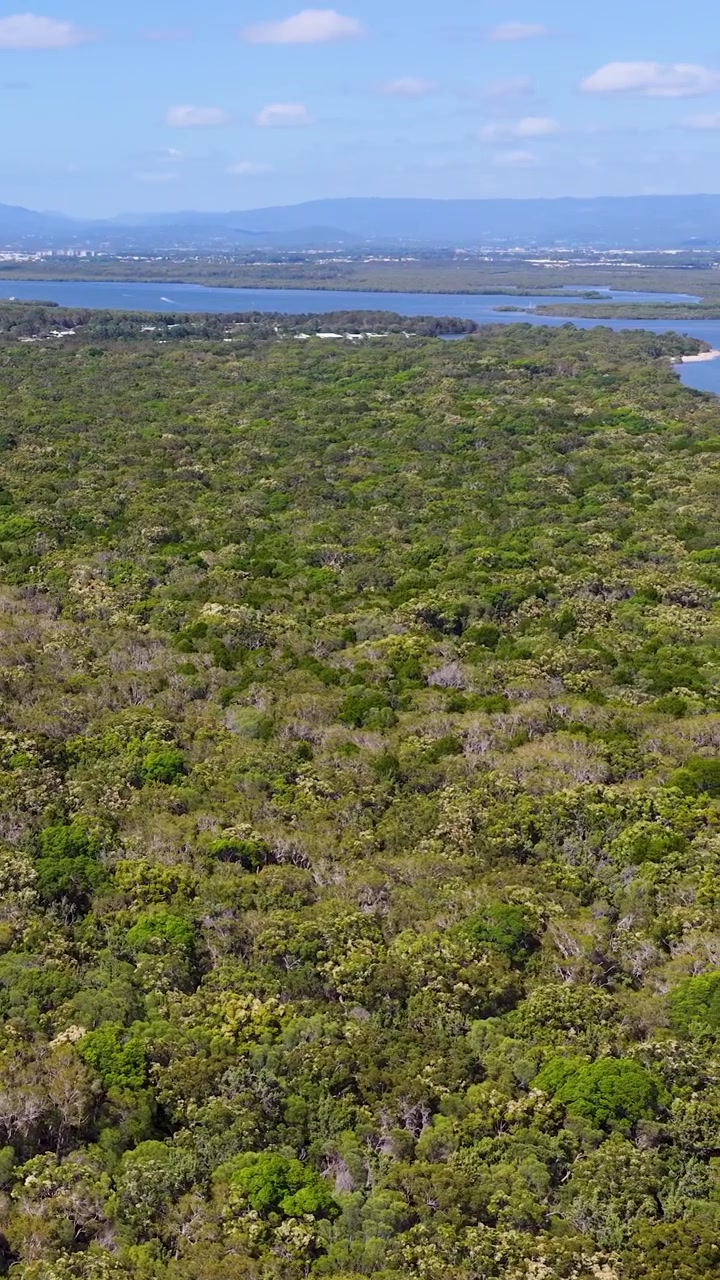 Ripresa aerea con drone dall'alto mostra una rigogliosa foresta verde e corsi d'acqua sotto un cielo azzurro e limpido.
