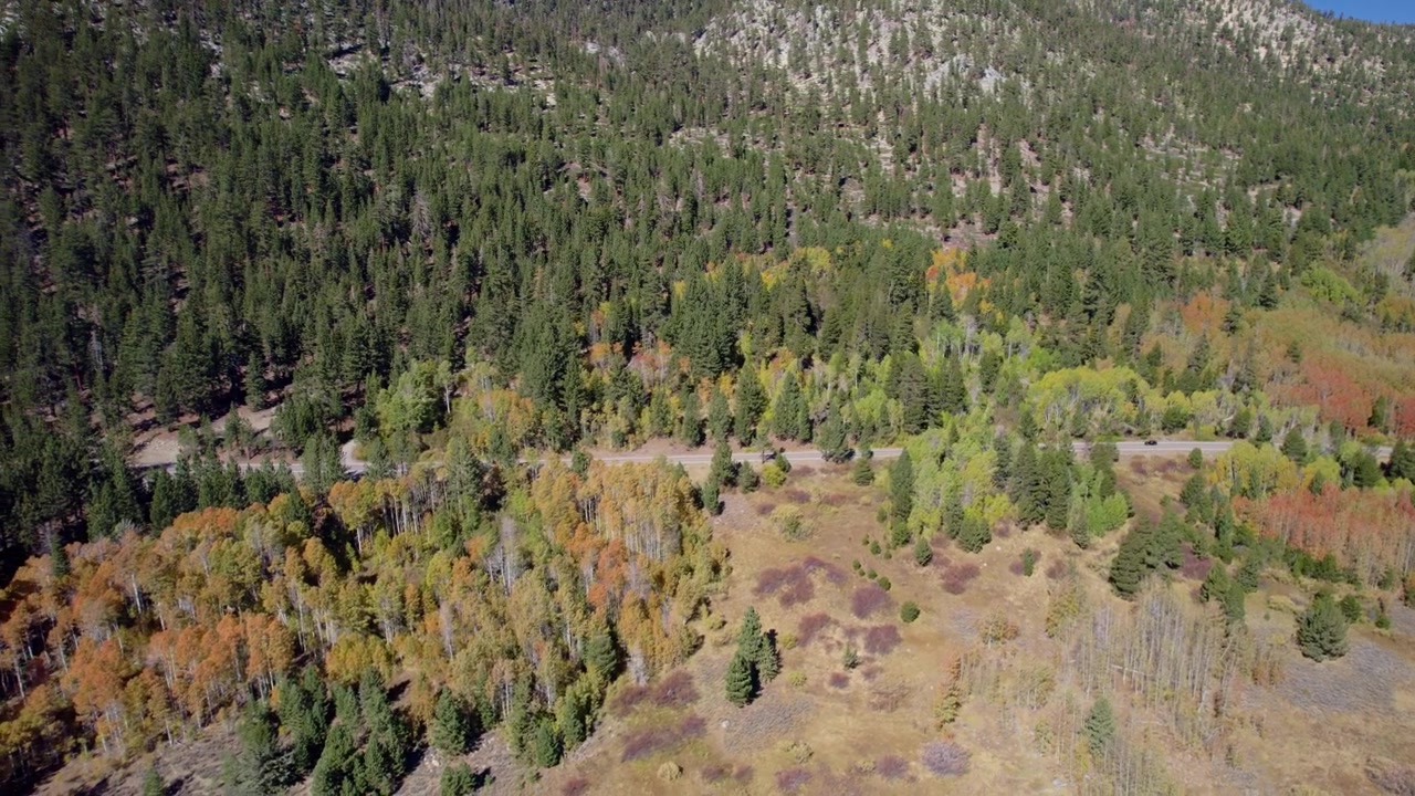 Vista aerea cinematografica di una valle di montagna con colori autunnali, texture di bosco misto e una strada che attraversa la scena