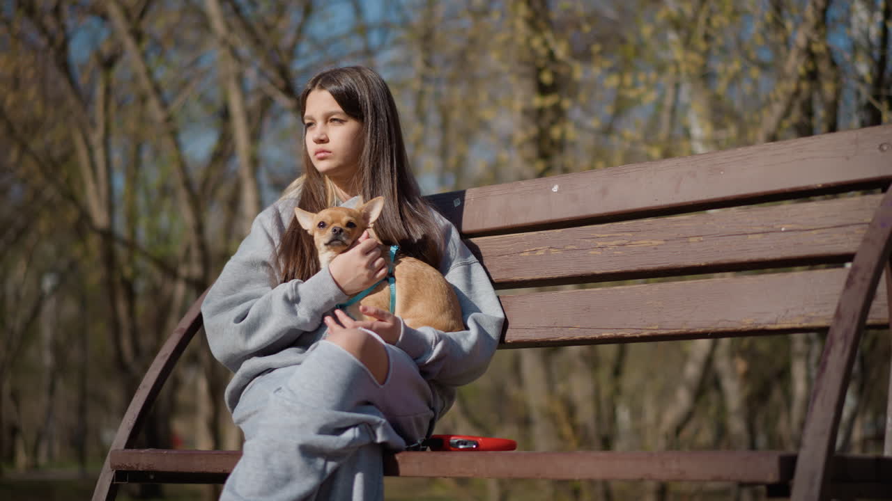 공원 벤치에 애완동물과 함께 있는 소녀, 평화로운 공원 벤치에 앉아 있는 작은 동물과 명랑한 여성, 봄에 갓 피어난 나무 아래 강아지와 함께 휴식을 취하는 백인 젊은 여성