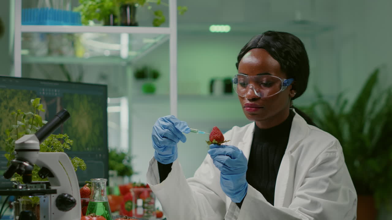 Chemist scientist injecting strawberry with organic liquid examining dna test