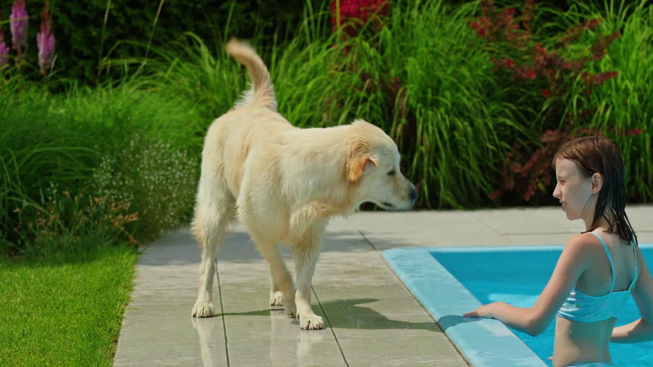 수영장에서 소녀와 개