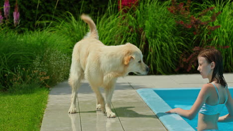 niña y perro en la piscina.