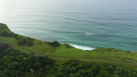 4k aerial shot of a big beautiful mountain cliff next to the blue ocean at lennox head, australia