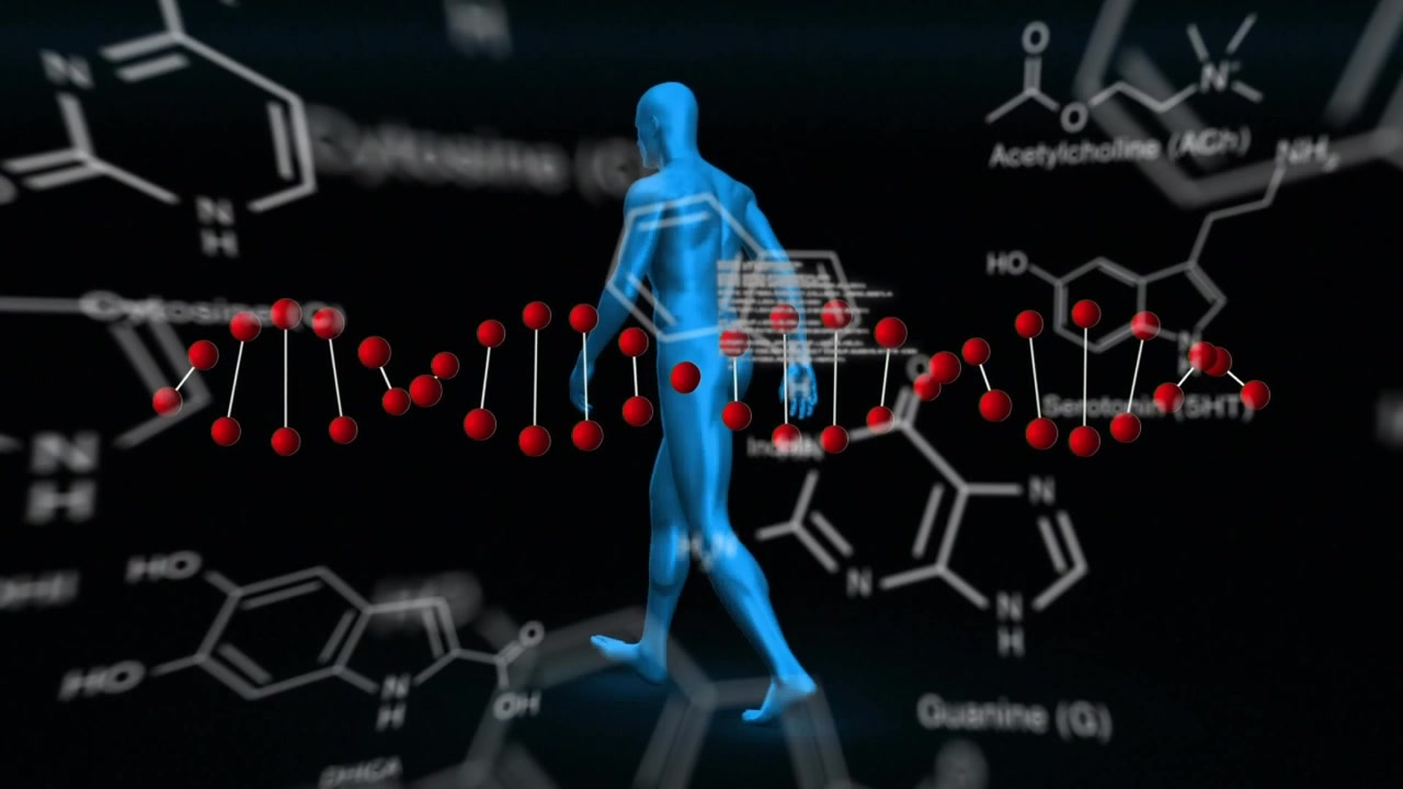 Animation of human skeleton, scientific data processing with dna strand spinning