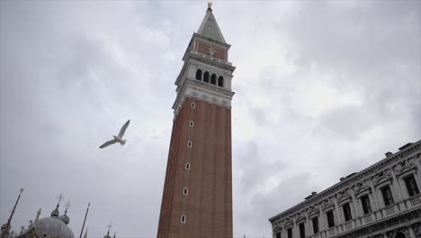 venetian elegance and pisa's leaning legacy