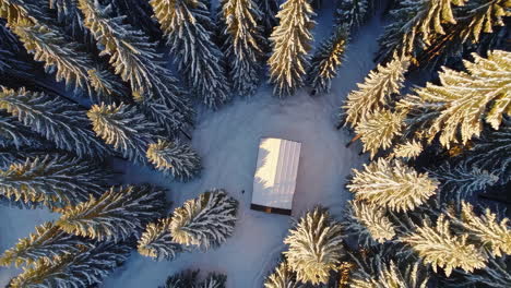 cabaña nevada en el bosque
