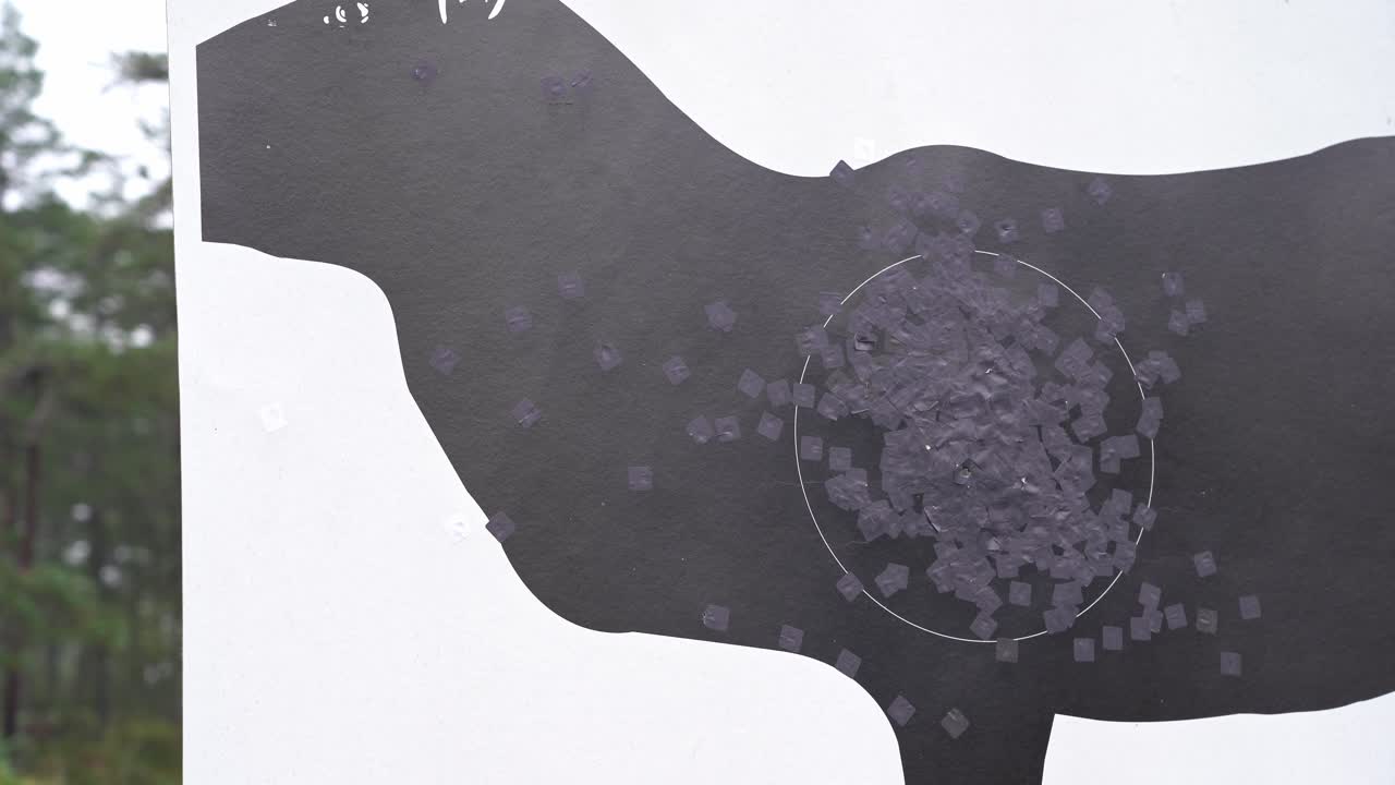 총을 쏘고 내부 원 안에 종이를 통해 구멍을 뚫는 동안 사슴 사냥 대상 근접 촬영 - 연기가 지나가고 총알 구멍이 나타납니다.