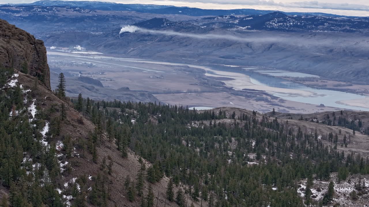 el suave toque del amanecer en los pinos susurrando
