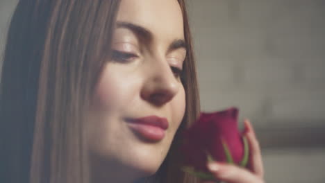 a young brunette woman sniffs the red roses flowers aroma and smiling, close-up view