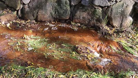 Clip-Panorámico-A-La-Derecha-De-Un-Pequeño-Arroyo-Con-Agua-Clara-Que-Gotea-A-Través-Del-Parque