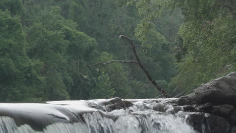 drzewa widziane za szczytem wodospadu, wissahickon creek, filadelfia