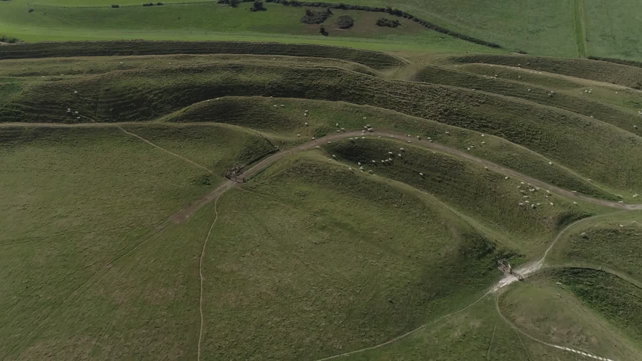 Aerial View of Green Hills with Sheep