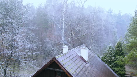 smoke slowly escapes from the chimney, cottage situated in the middle of the forest, trees without leaves and thin branches