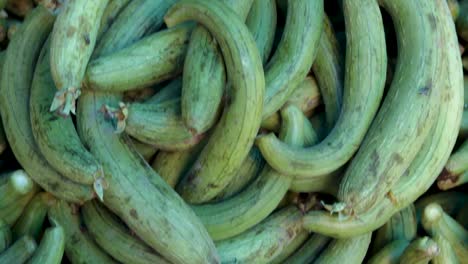 calabaza de esponja orgánica fresca de la granja cerca desde un ángulo diferente