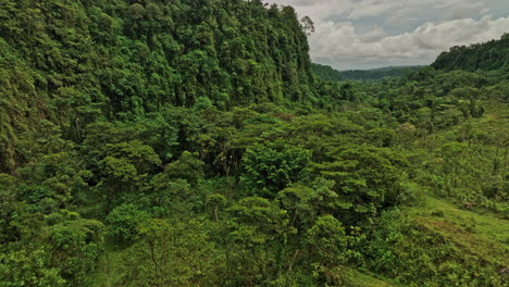 cordillera panama aerial v2 countryside scene, low level drone flyover canyon macho monte river, in between jungle forest canopy with dense lush green vegetation - shot with mavic 3 cine - april 2022