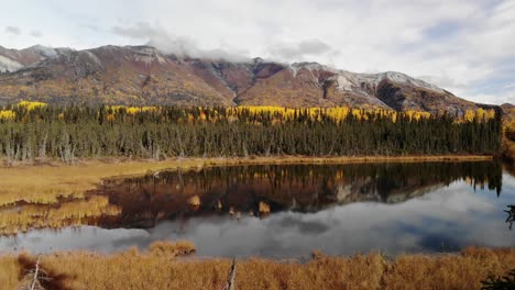 fall colors of the boreal forest reflected in a still lake under cloudscape in alaska, usa