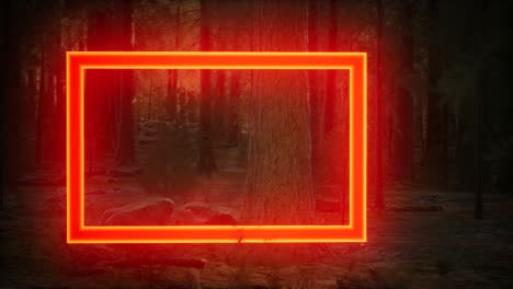 marco rectangular brillante de neón en el bosque nocturno