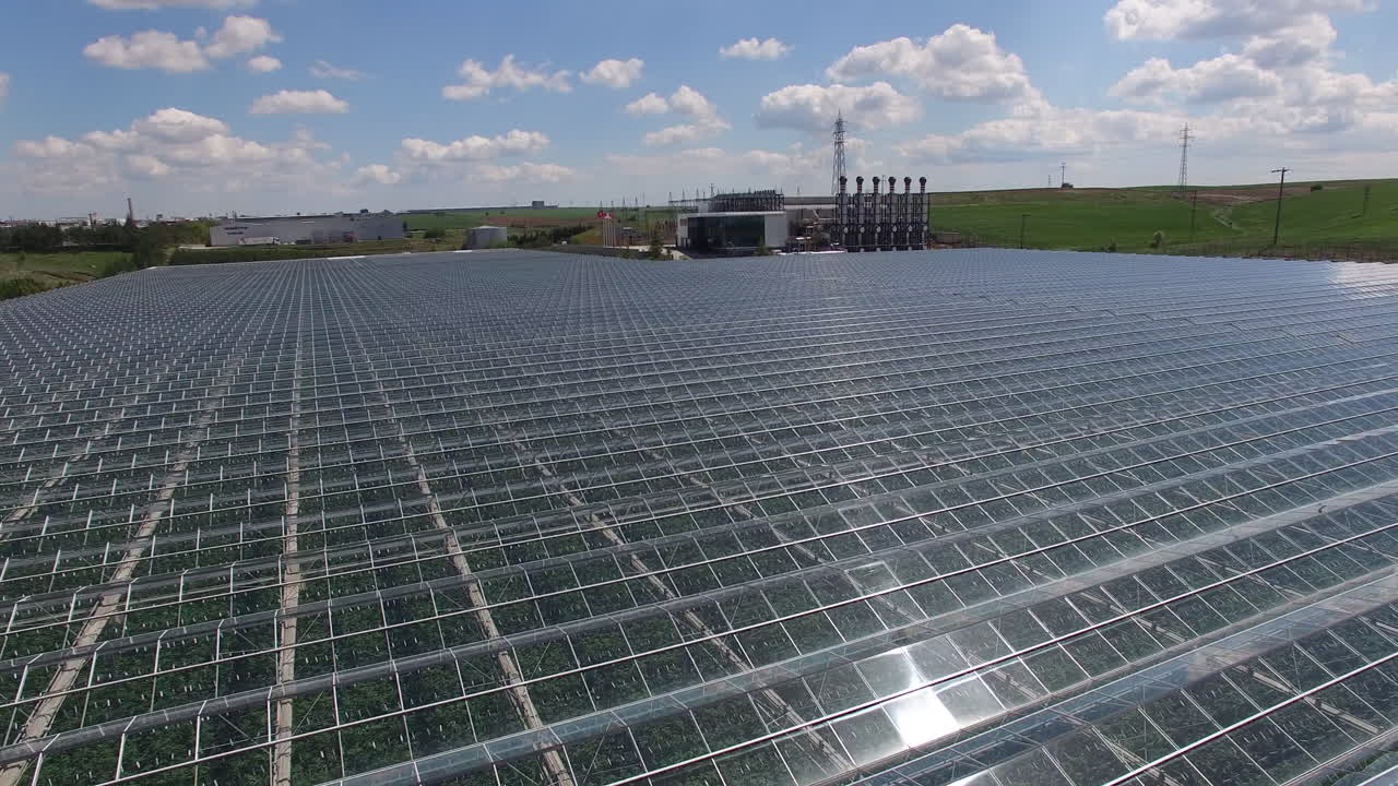 invernadero para plantas organicas