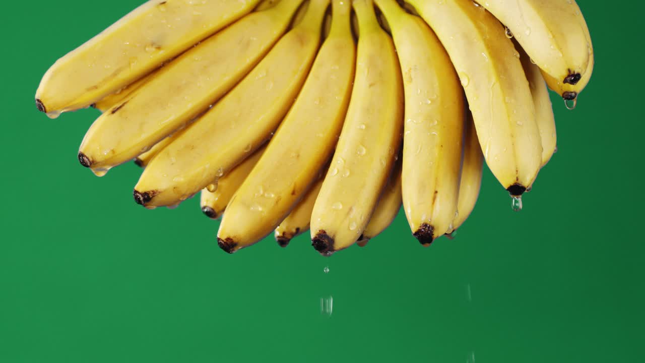 신선한 바나나 어리들로 물방울이 떨어집니다.