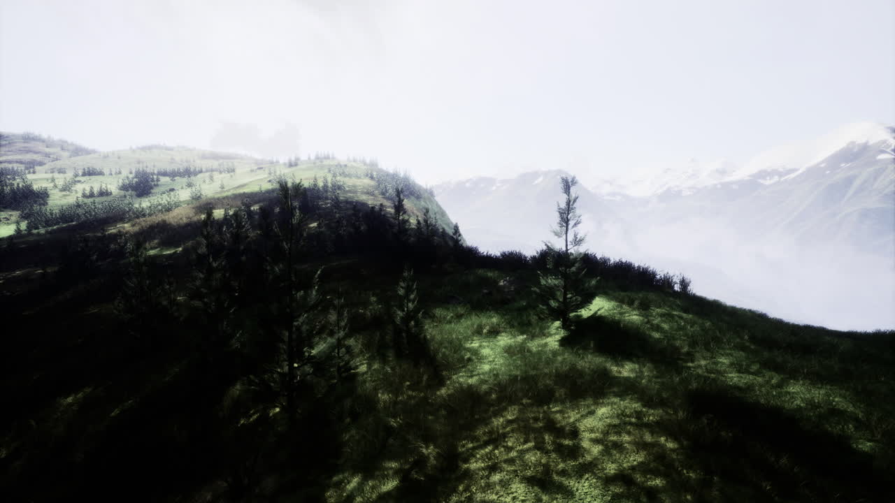 Exploring misty mountain landscape with lush greenery and distant peaks