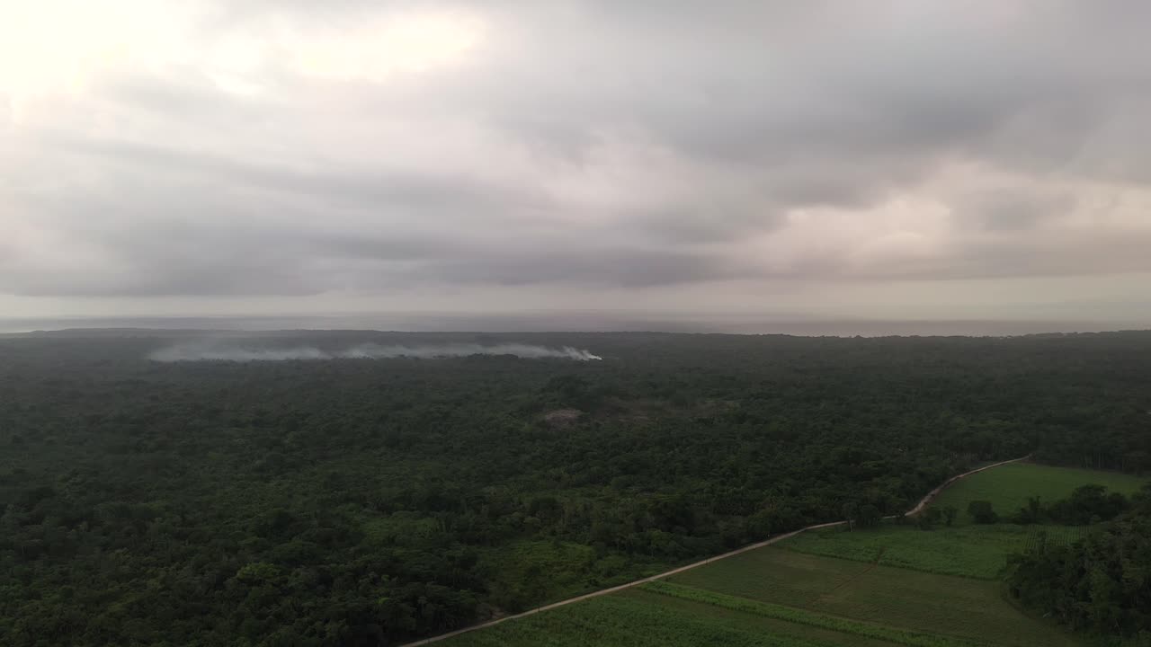 tiro de paralaje aéreo de agricultura de selva tropical 4k