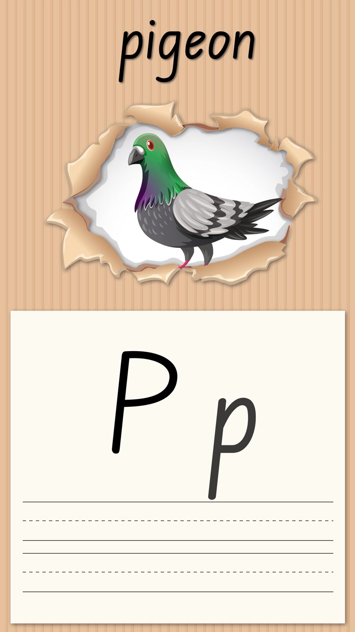 Video educativo animato che insegna la lettera P usando un'illustrazione di un piccione e la pratica della scrittura a mano su carta.