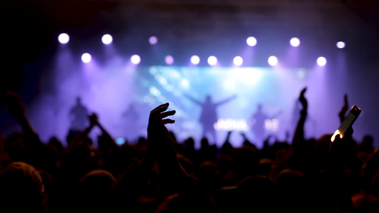 Concert with Live Music and a Cheering Crowd